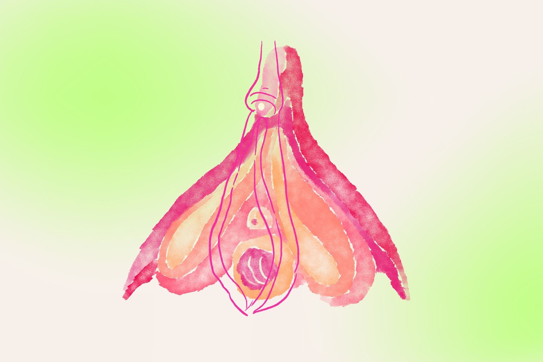 The Cultural Ignorance of Clitoris